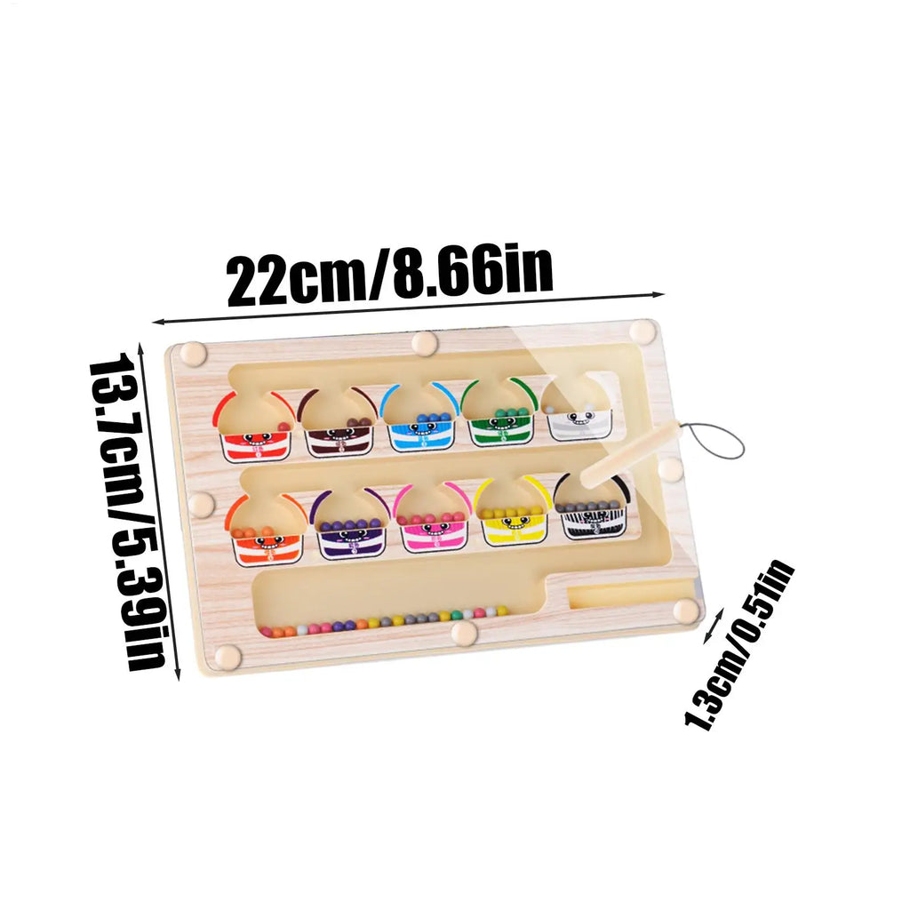 Magnetic Colour Sorting Maze